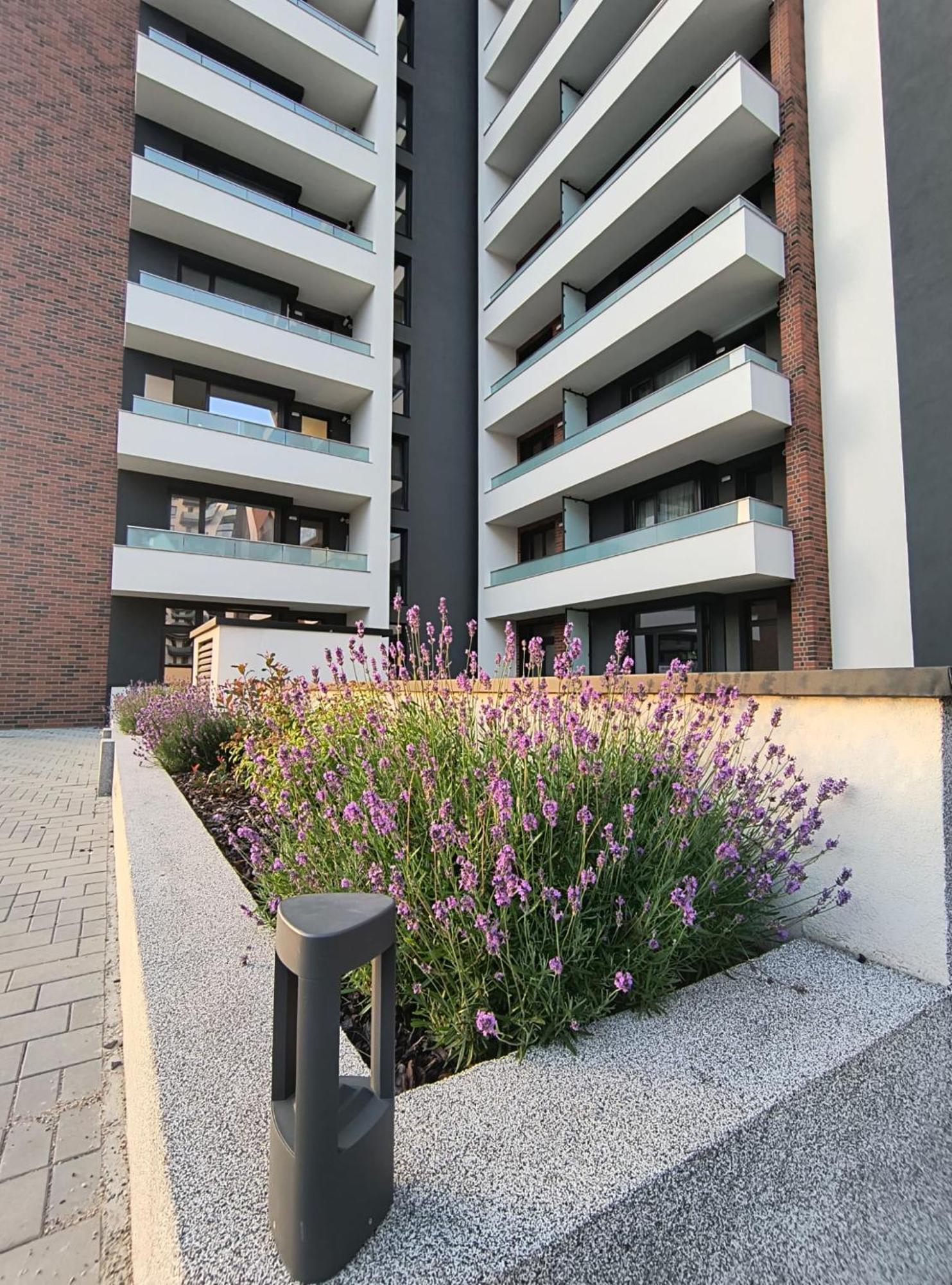 Apartment Park Lake 克卢日-纳波卡 外观 照片
